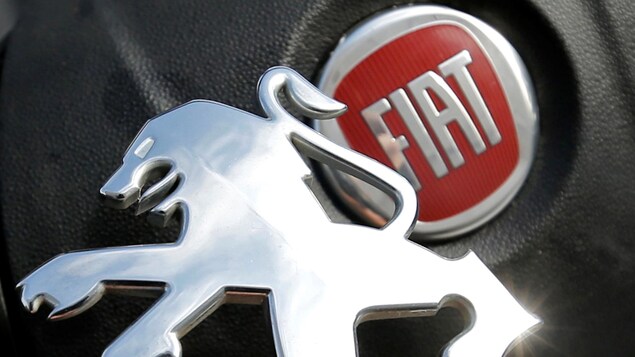 Les logos de Peugeot et de Fiat sont juxtaposés.