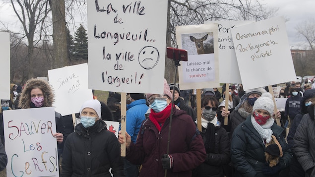 Des manifestants masqués avec des pancartes.