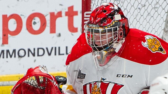 Le Drakkar bat les Wildcats et égalise la série
