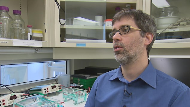 Patrick Rochette, professeur-chercheur à l'Université Laval Patrick Rochette, professeur-chercheur à l'Université Laval