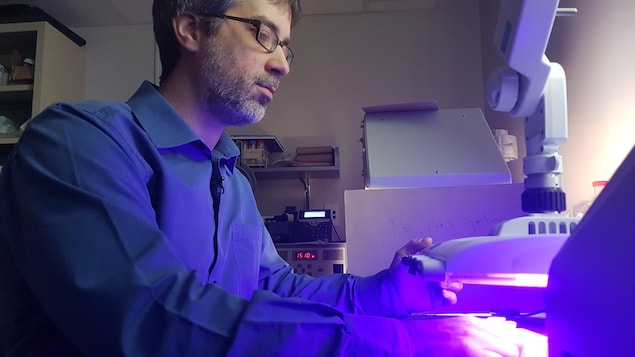 Patrick Rochette, professeur-chercheur à l'Université Laval