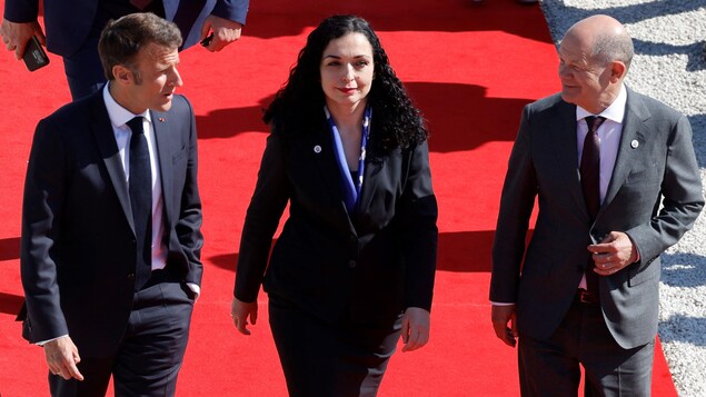Ils marchent sur un tapis rouge.