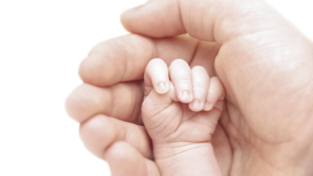 Un main de bébé le poing fermé dans la main d'un adulte.