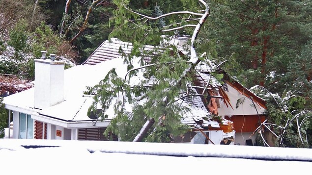 La chute d’un arbre fait deux morts dans une maison de West Vancouver