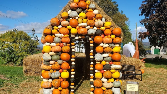Une ferme présente une maisonnette faite de courges et de citrouilles au N.-B.