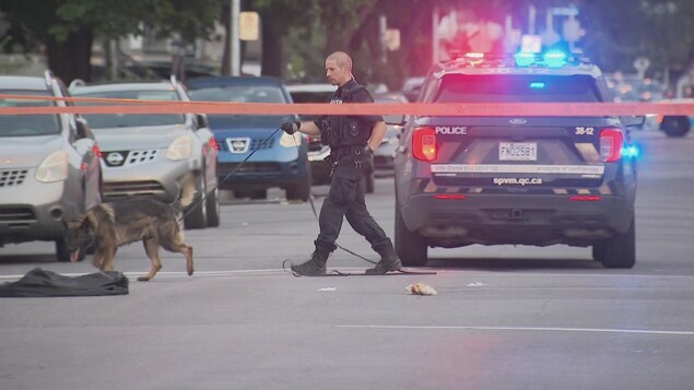 A police officer holds a dog on a leash.