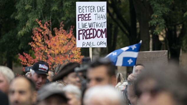 Un grupo de manifestantes con un cartel en inglés que invoca la libertad contra las medidas sanitarias.
