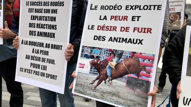 Les manifestants dénoncent les rodéos. Les manifestants dénoncent les rodéos.