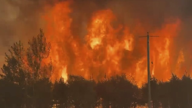 Un mur de flammes ravage une forêt au manitoba, projetant une épaisse fumée dans le ciel.