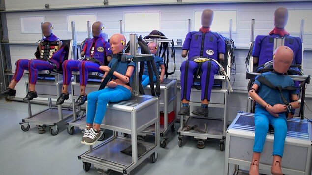 Des mannequins d'essai de collision.