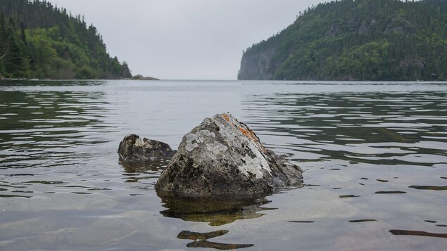 Un rocher sort de l'eau.