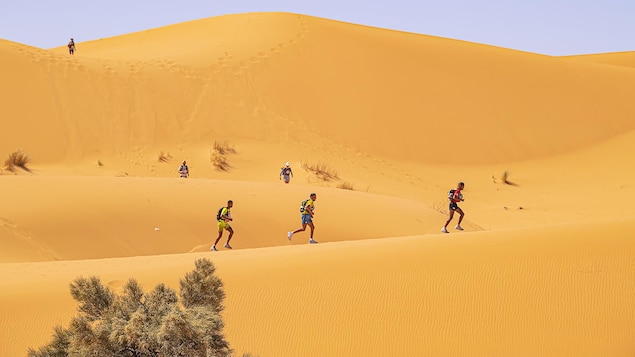 Marathon des sables : un Albertain à l’assaut du désert du Sahara
