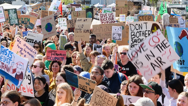 Des milliers de personnes marchent avec des pancartes à la main.