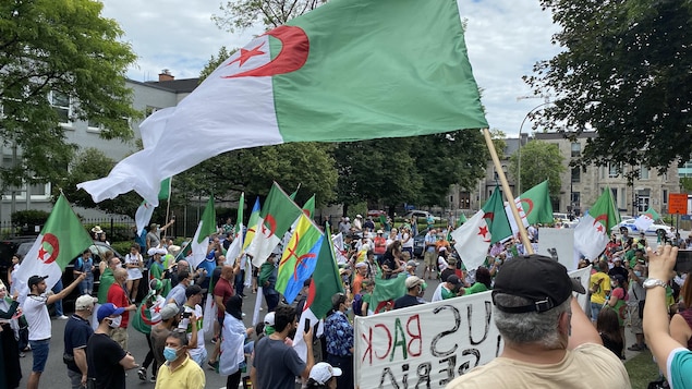 Des manifestant portant le drapeau algérien.
