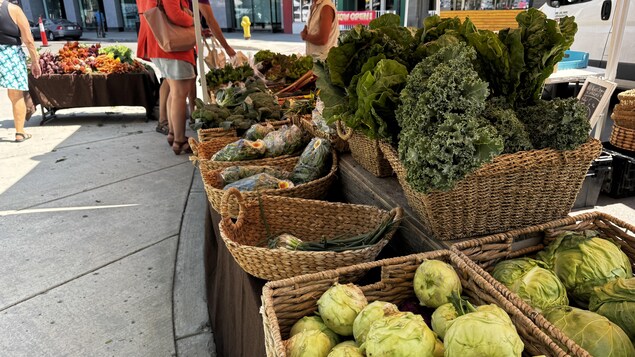 Un stand de légumes au marché des fermiers de Regina au parc Victoria, le 7 juillet 2025.