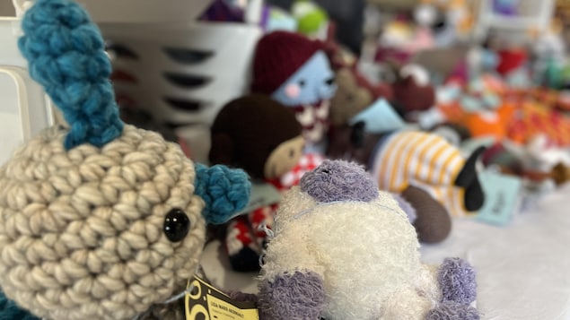 Quand pandémie rime avec changement de vie