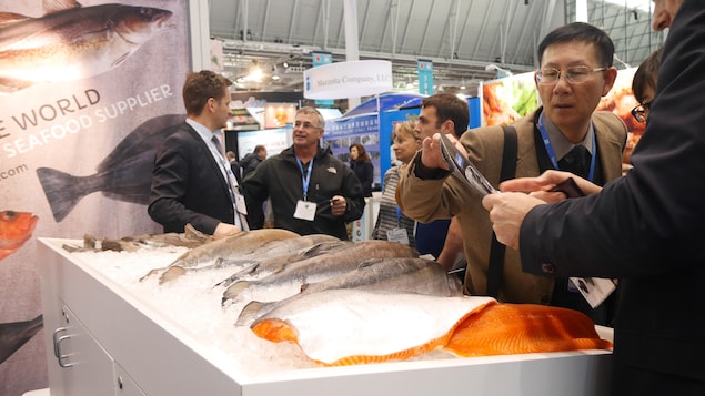 Le Québec de retour au Seafood Expo de Boston avec un nouvel outil de promotion