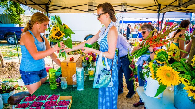 Une femme achète des tournesols dans un marché en plein air,