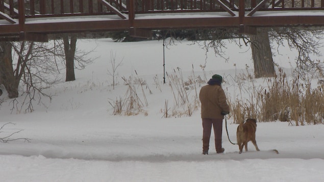 Un marcheur et son chien sur la rivière Seine à Sainte-Anne.
