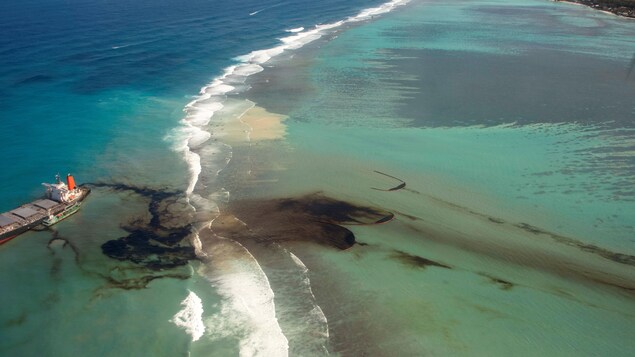 Marée noire à l’île Maurice en 2020 : 20 mois de prison pour le capitaine