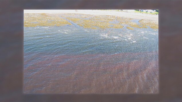 L'eau du fleuve rougeâtre L'eau du fleuve rougeâtre