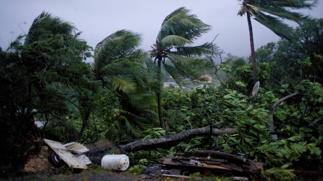 La ville de Petit-Bourg en Guadeloupe est fouettée par les vents de Maria qui dépassent les 250 km/h.