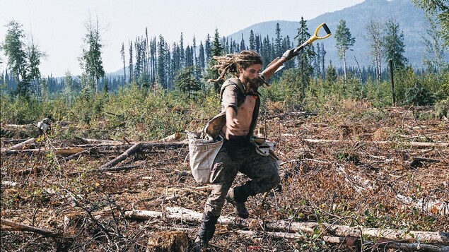 Un homme habillée en tenue de chantier, une pelle à la main, replante des arbres.