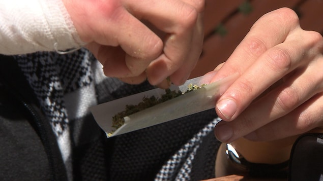 Raphaëlle Lemelin prépare un joint de marijuana.
