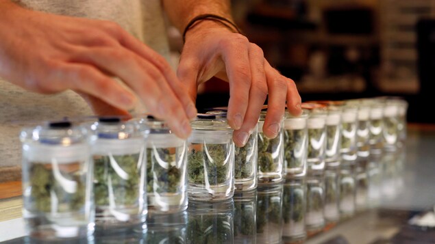 De la marijuana vendue à des fins médicales.