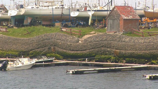La marina de Matane.