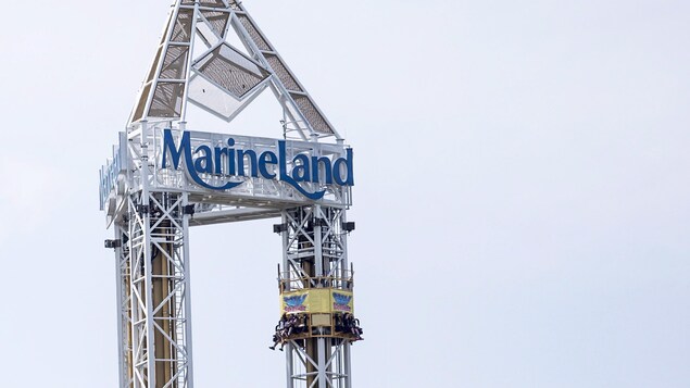 Le parc Marineland de Niagara Falls, en Ontario, menace de vendre