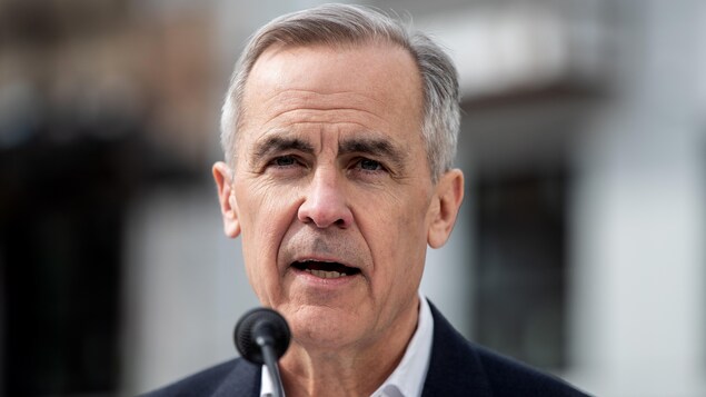 Carney cancels planned hike to capital gains tax | Radio-Canada.ca