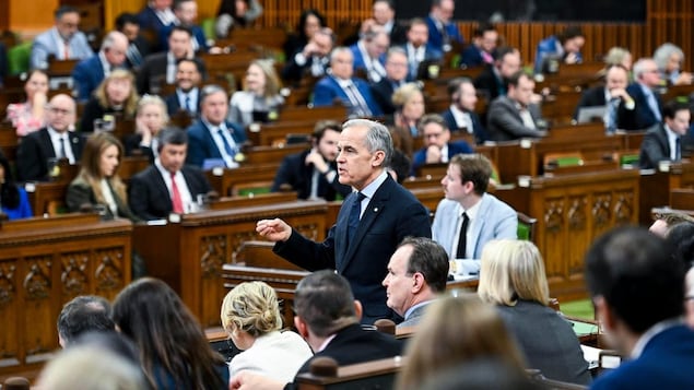 Mark Carney speaks in the middle of the House of Commons as MPs look on and listen.