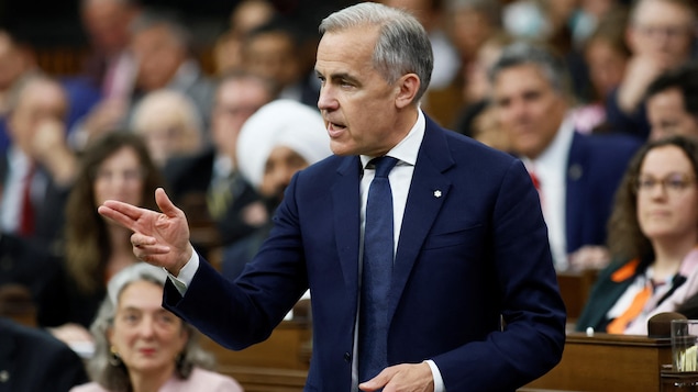 Mark Carney parle en gesticulant à la Chambre des communes.