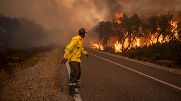 Maroc : pompiers et militaires en renforts pour maîtriser les feux de forêt