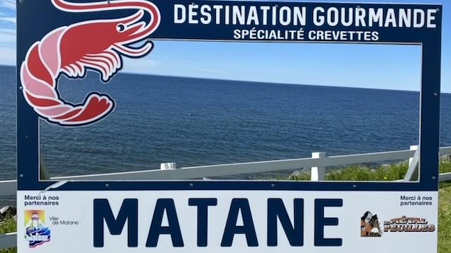 Le fleuve Saint-Laurent avec un panneau de tourisme Matane devant, qui indique que Matane est une destination gourmande qui a une spécialité pour les crevettes.