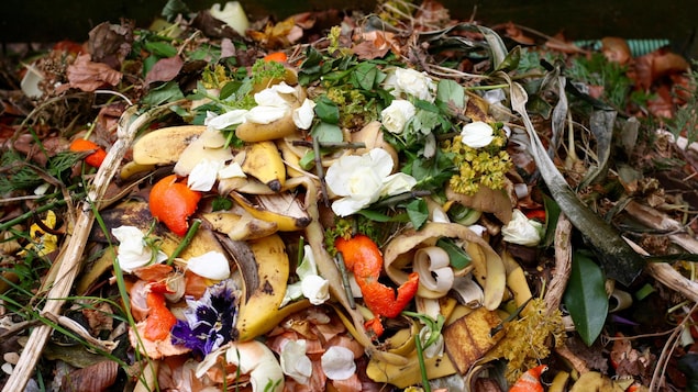 Les déchets organiques poursuivent leur progression en Ontario