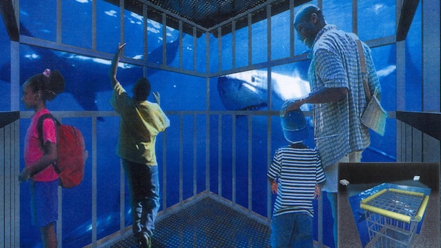 Croquis d'une cage à requins Croquis d'une cage à requins