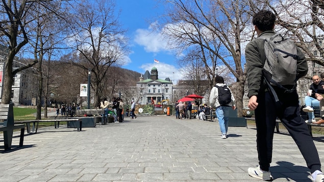 学生走进大学校园。