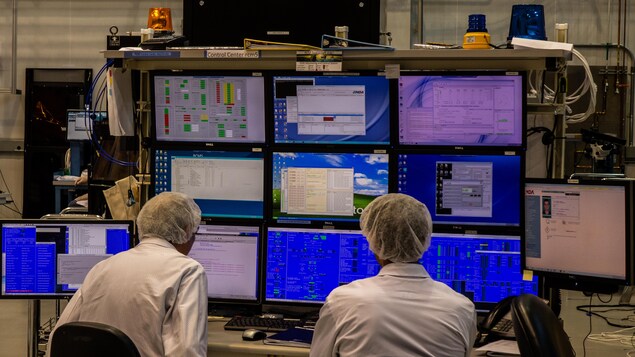 Ils regardent des écrans d'ordinateur. Ils regardent des écrans d'ordinateur.