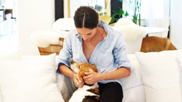 Meghan Markle, assise sur un divan avec son chien Meghan Markle, assise sur un divan avec son chien