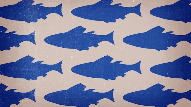 Texture de silhouettes de poissons de couleur bleu sur fond beige