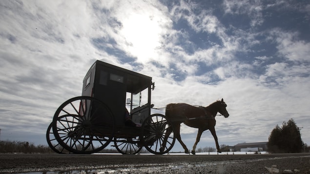 Une carriole tirée par un cheval sur une route de terre en hiver, sous un ciel nuageux.