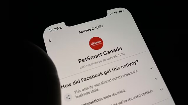 Logo ng PetSmart Canada makikita sa screen ng smartphone.