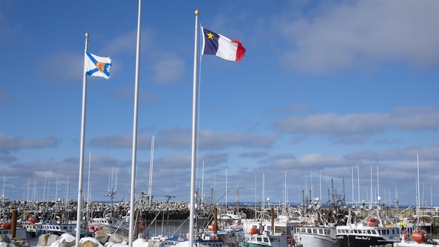 Un budget provincial « de bon augure » pour les Acadiens de la Nouvelle-Écosse