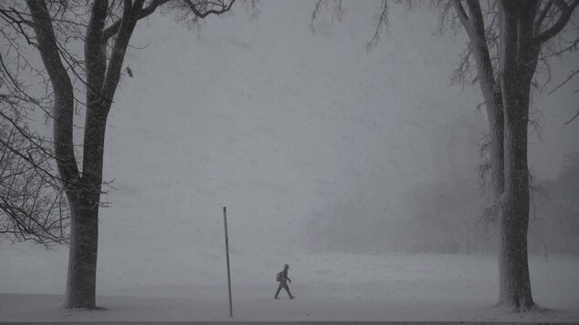 Un piéton affronte des conditions qui se rapprochent du blizzard. Un piéton affronte des conditions qui se rapprochent du blizzard.