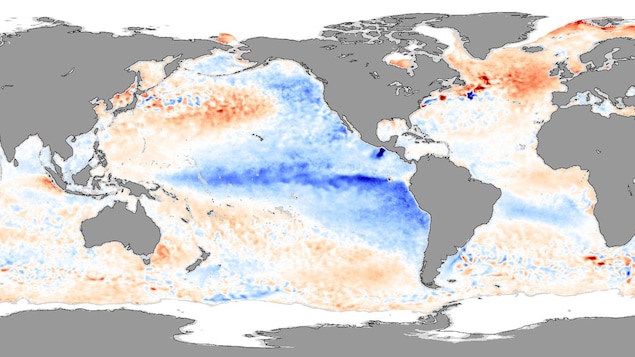 Les températures resteront élevées en 2020 malgré la venue probable de La Niña