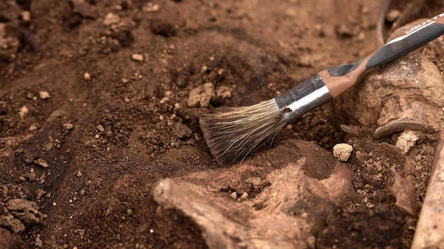 Le métissage était possiblement peu répandu à Montréal aux 17e et 18e siècles