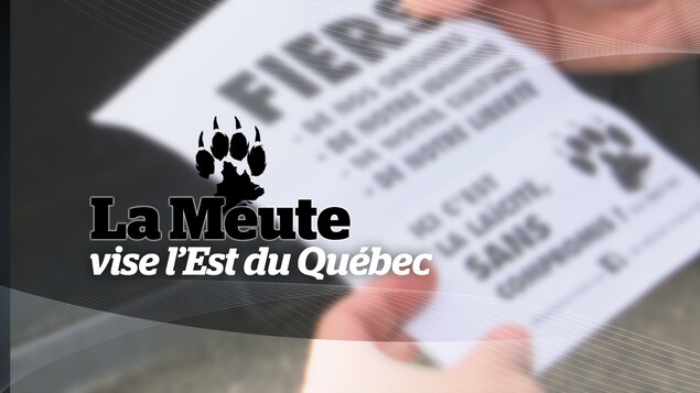 La meute dans l'Est du Québec La meute dans l'Est du Québec