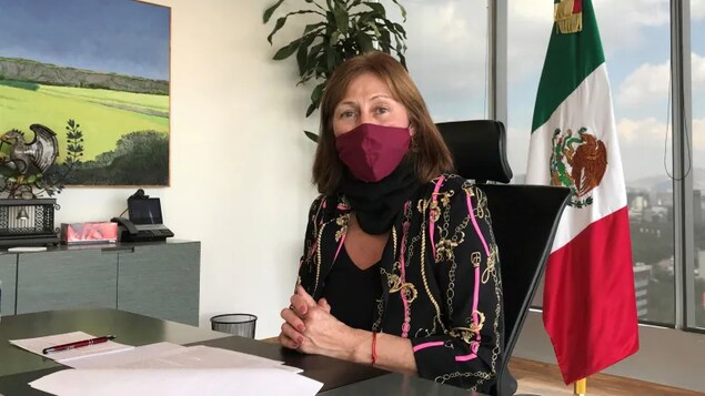 Le Mexique veut faire front commun avec le Canada devant le protectionnisme américain